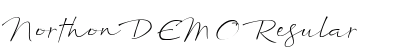 Northon DEMO Regular Font Preview