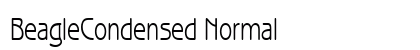 BeagleCondensed Normal Preview