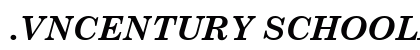 .VnCentury SchoolbookH Bold Italic Font Preview