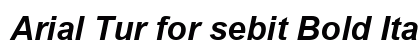 Arial Tur for sebit Bold Italic preview