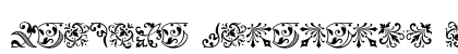 Baroque Ornaments Regular Font Preview