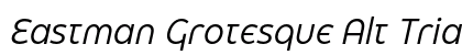 Eastman Grotesque Alt Trial Italic Preview