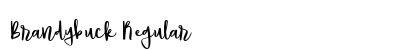 Brandybuck Regular Font Preview
