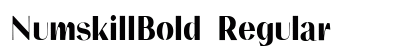 NumskillBold Regular preview NumskillBold Regular preview