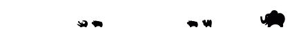 Zoodemo Regular Font Preview