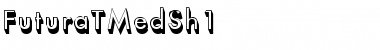 FuturaTMedSh1 Regular Font