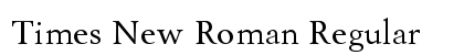 Times New Roman Regular font free download