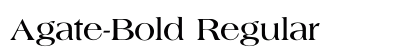 Agate-Bold Regular Font Agate-Bold Regular Font Preview