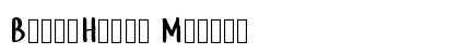 BeachHouse Medium preview