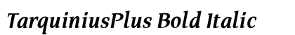 TarquiniusPlus Bold Italic preview