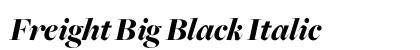 Freight Big Black Italic preview Freight Big Black Italic preview