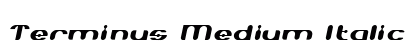 Terminus Medium Italic font free download