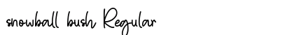 snowball bush Regular Font Preview