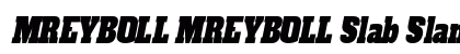 MREYBOLL MREYBOLL Slab Slant Regular preview