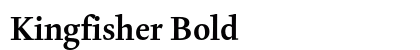 Kingfisher Bold preview