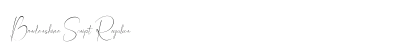 Bordershine Script Regular preview Bordershine Script Regular preview