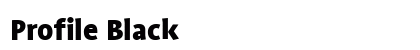 Profile Black preview