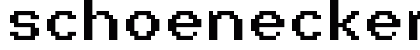schoenecker 10_65 Regular Font Preview