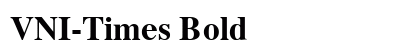 VNI-Times Bold preview