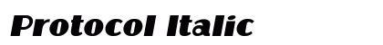 Protocol Italic Font Preview