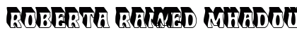 Roberta Raised Shadow Demo preview