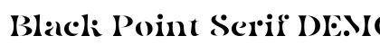 Black Point Serif DEMO Regular Font Preview