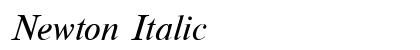 Newton Italic Font Newton Italic Font Preview
