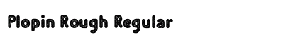 Plopin Rough Regular preview