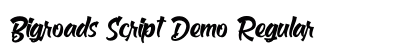Bigroads Script Demo Regular preview Bigroads Script Demo Regular preview