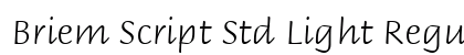 Briem Script Std Light Regular