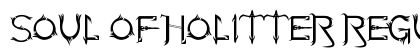 Soul Of Holitter Regular preview