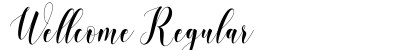 Wellcome Regular Font Preview