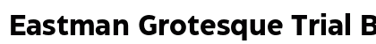 Eastman Grotesque Trial Bold Preview
