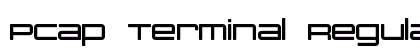 PCap Terminal Regular preview PCap Terminal Regular preview