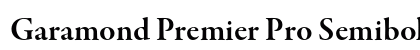 Garamond Premier Pro Semibold Subhead preview