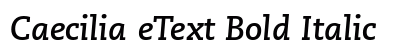 Caecilia eText Bold Italic preview