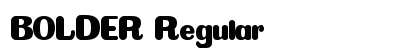 BOLDER Regular Font BOLDER Regular Font Preview