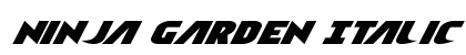 Ninja Garden Italic Italic Font Preview
