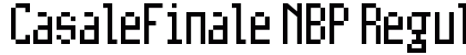 CasaleFinale NBP Regular Font Preview