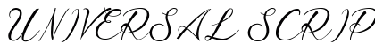 UNIVERSAL SCRIPT Personal Use Regular preview
