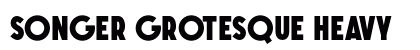 SONGER Grotesque Heavy preview
