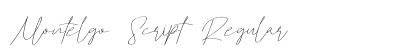 Montelgo Script Regular preview