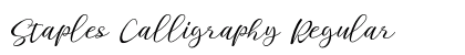 Staples Calligraphy Regular preview