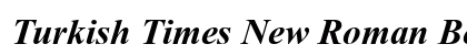 Turkish Times New Roman Bold Italic preview Turkish Times New Roman Bold Italic preview