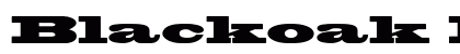 Blackoak Regular Font Preview