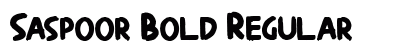 Saspoor Bold Regular Font Preview