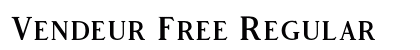 Vendeur Free Regular preview