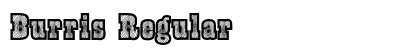 Burris Regular Font Preview