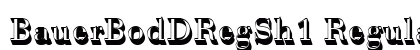 BauerBodDRegSh1 Regular Font Preview