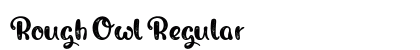 Rough Owl Regular preview